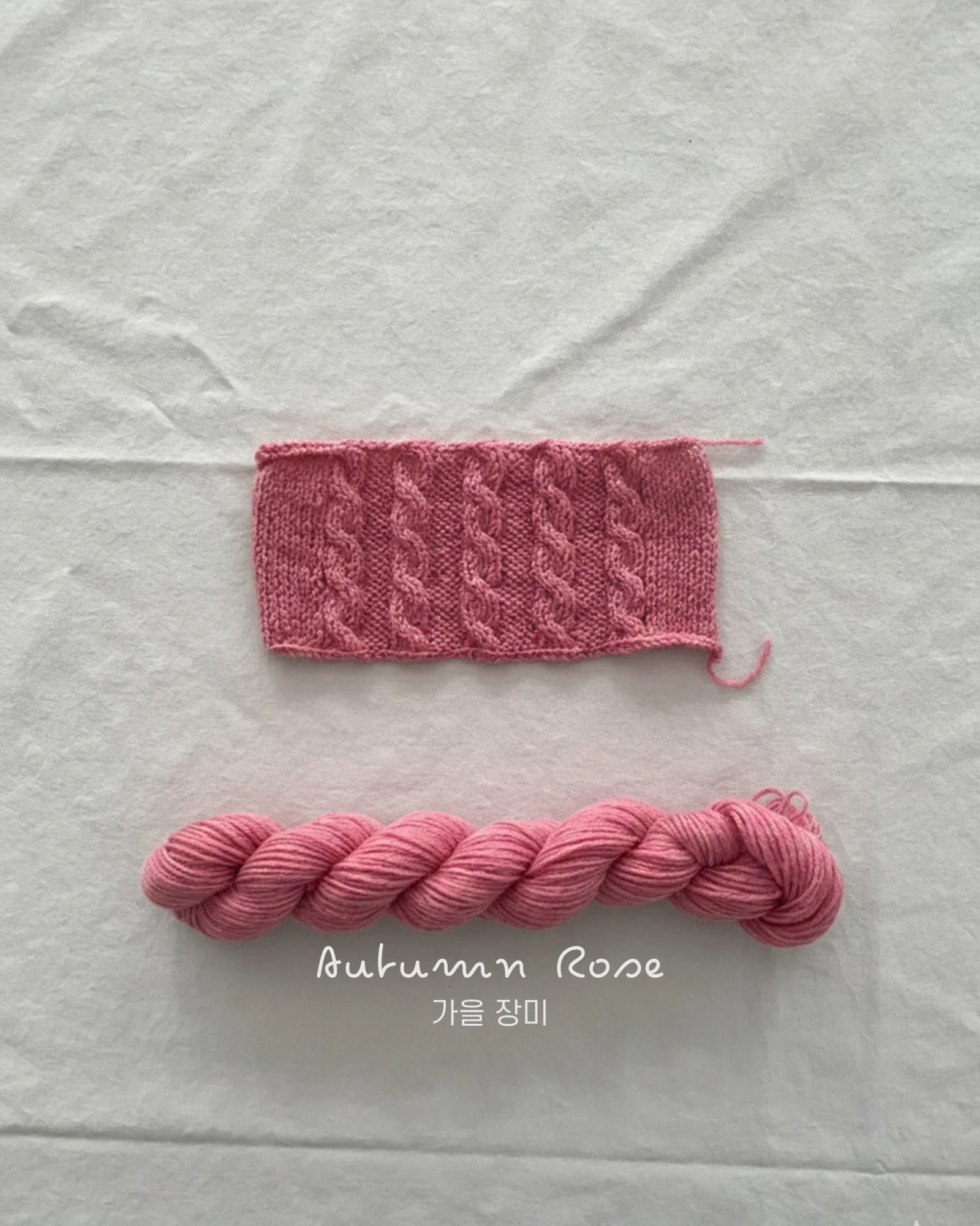 Autumn Rose hand-dyed yarn