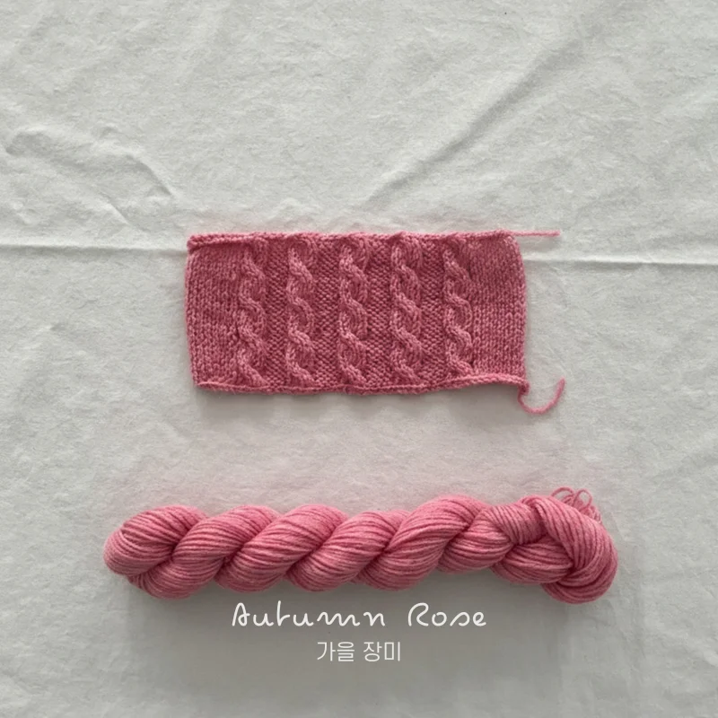 Autumn Rose — Merino Sock · Superwash